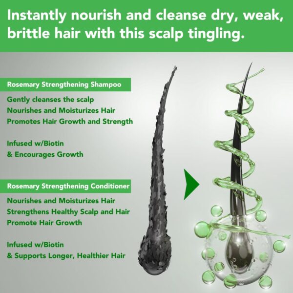 Rosemary Mint Strengthening Shampoo - Image 4